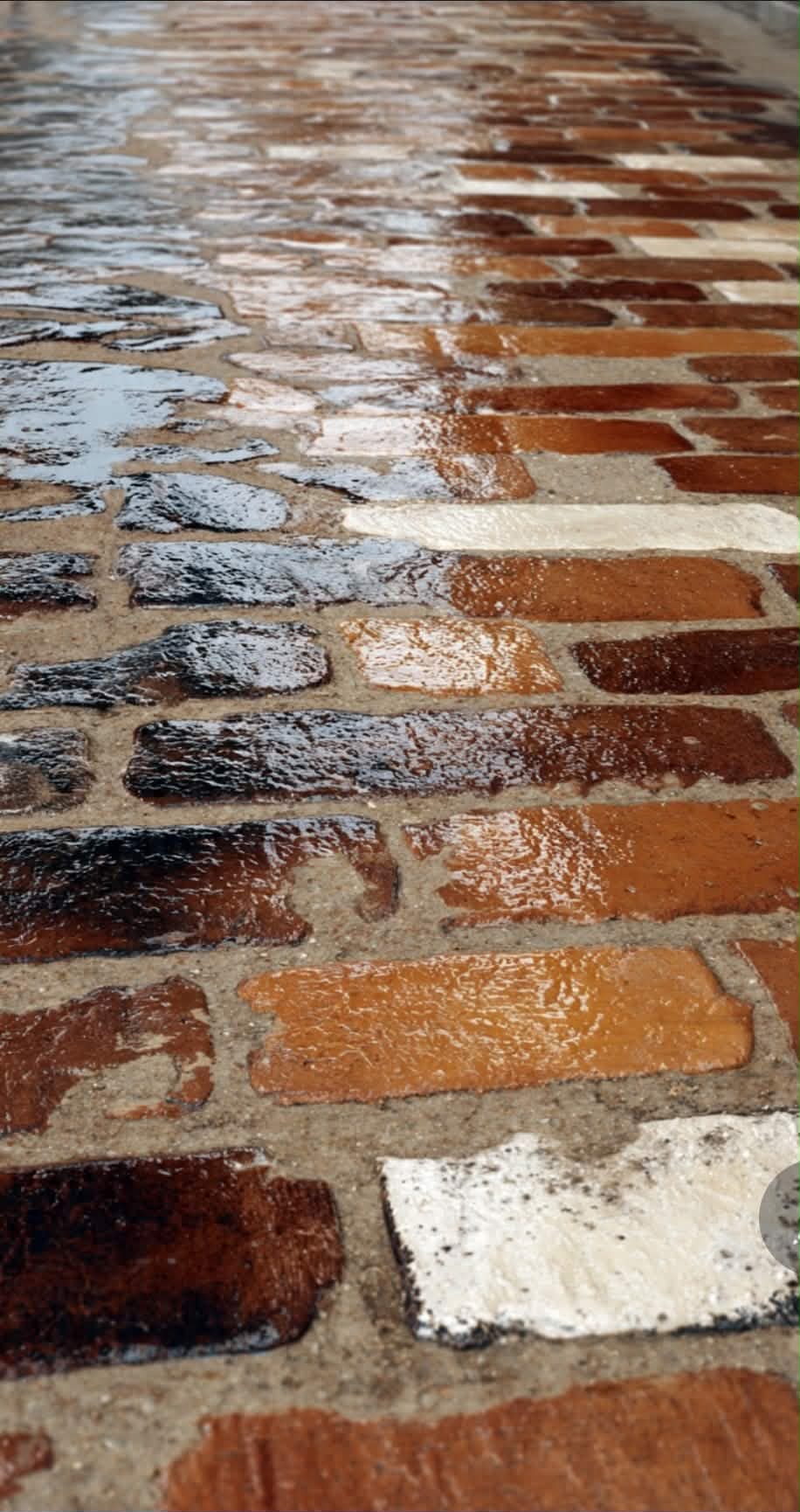 Close-up of multi-colored brick pavers with a high-gloss waterproof sealant protecting against moisture.